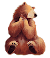 bear divide